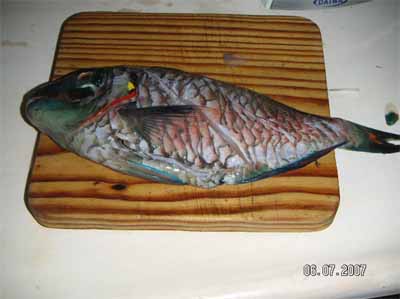 Marinierter Fisch