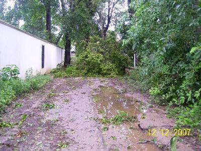 Sturm Olga 2007 Bäume auf der Straße